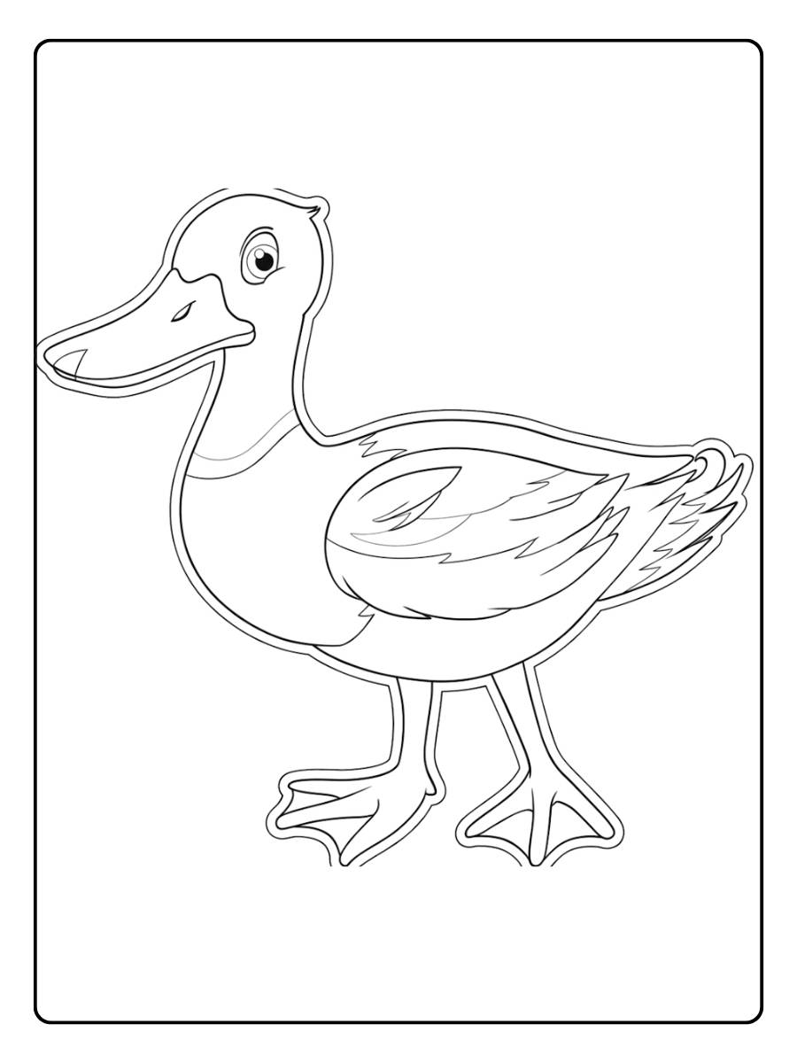 Coloriage canard mignon