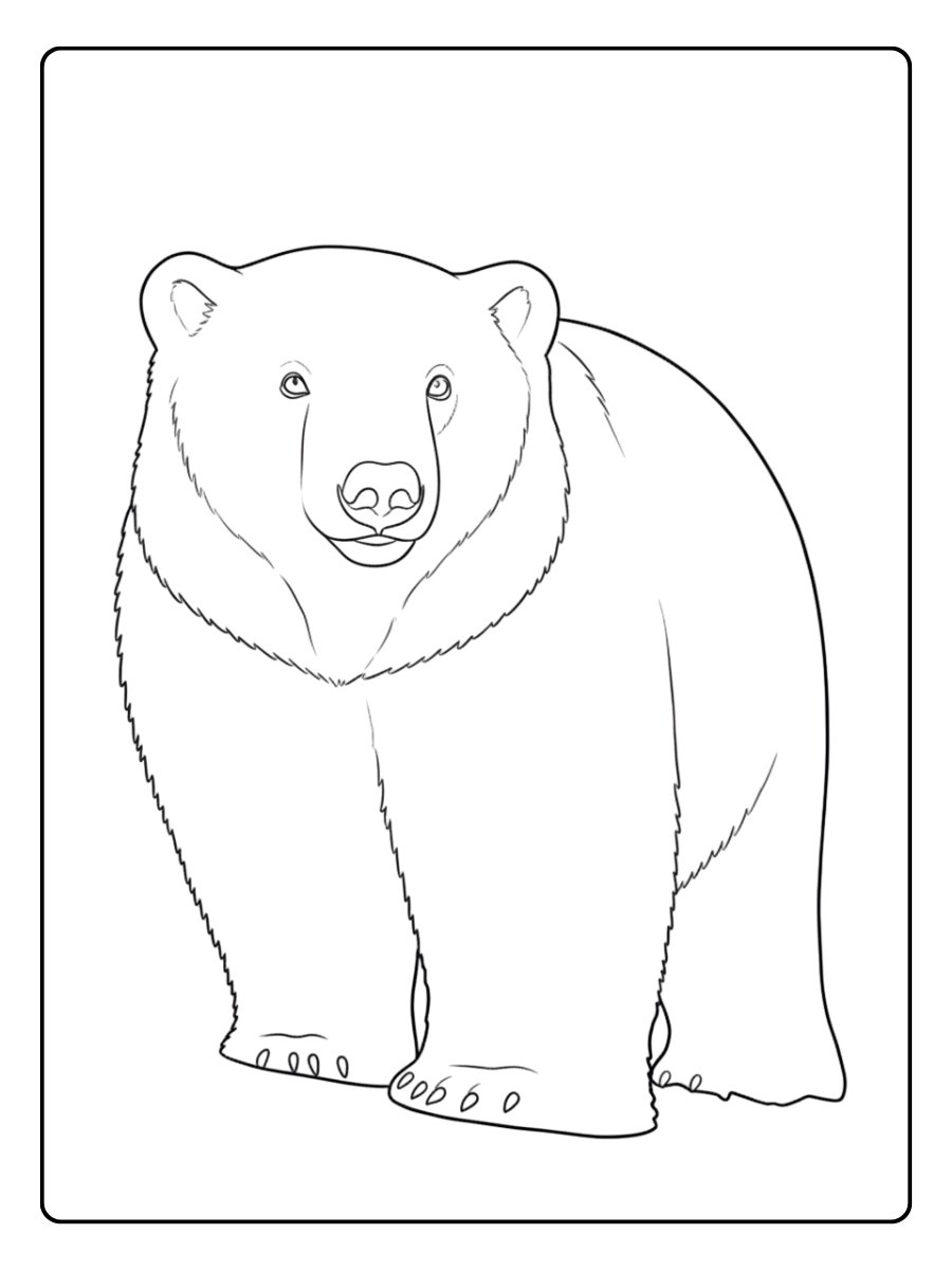 Coloriage ours polaire joueur