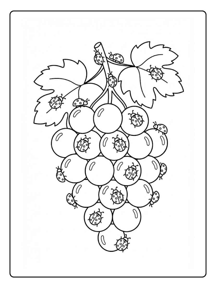 Coloriage raisin et coccinelles