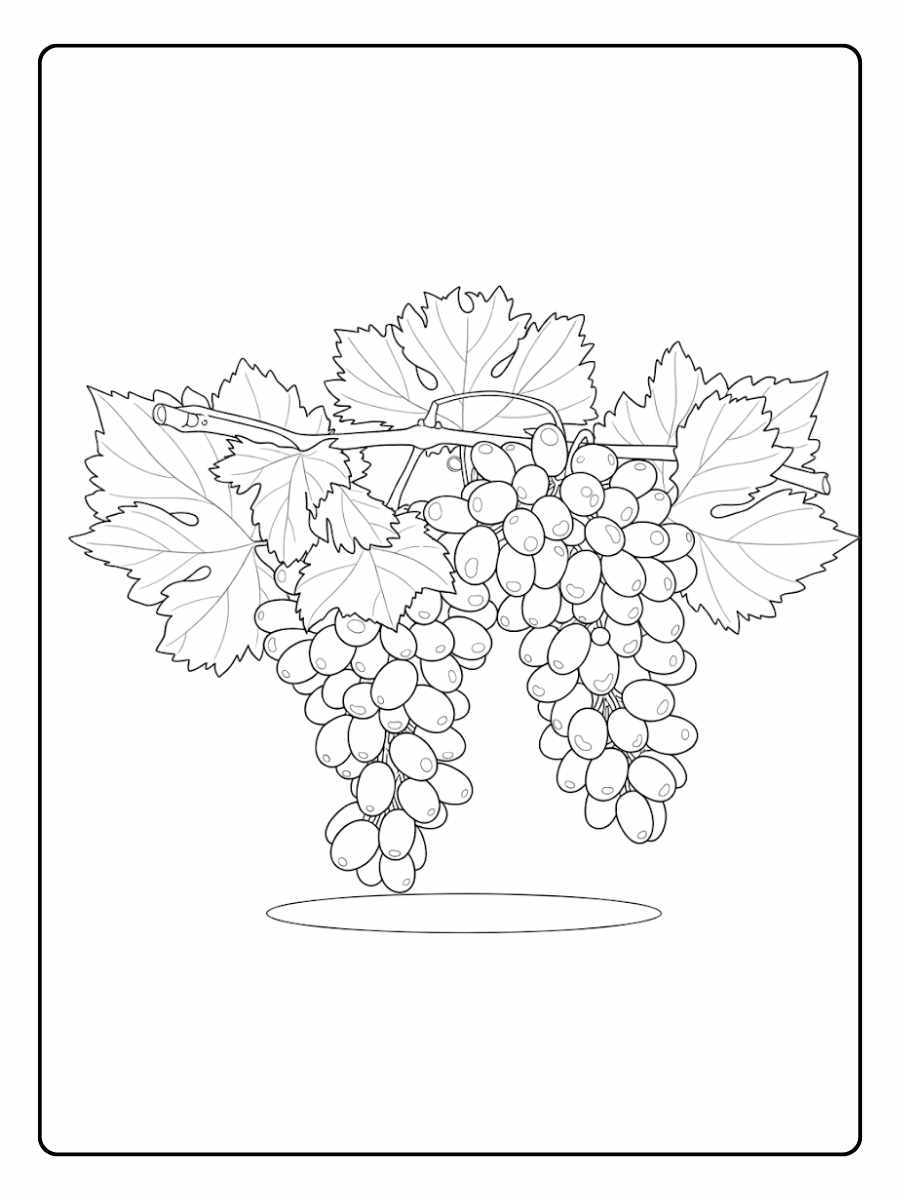 Gros coloriage raisin adorable