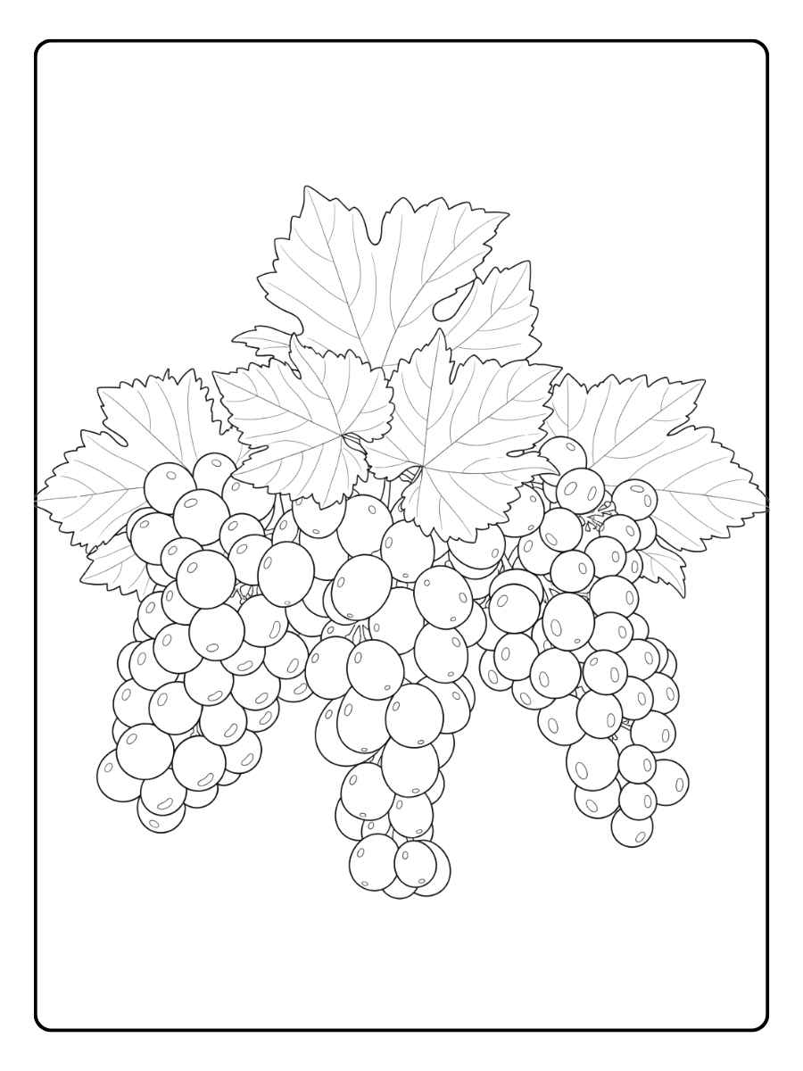 Petit coloriage raisin en grappe très sucrée