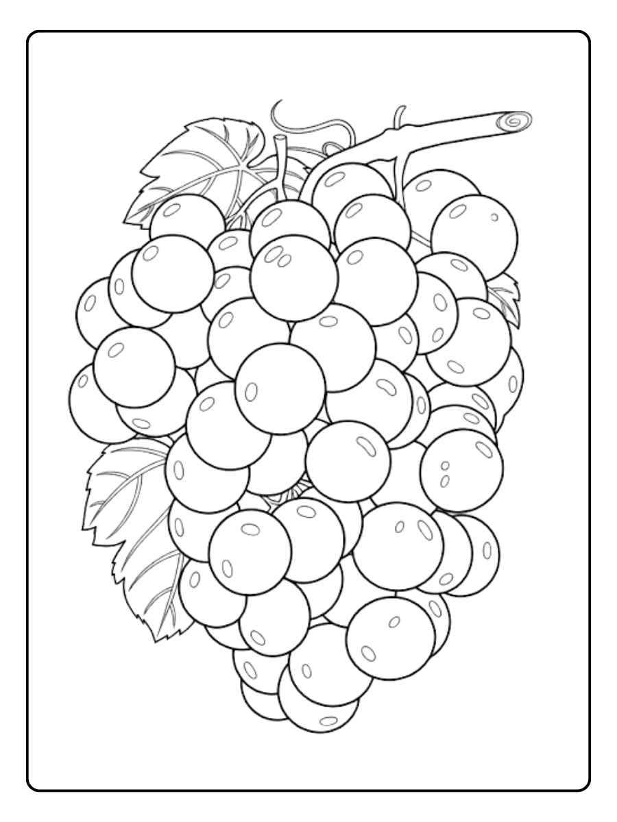Très beau coloriage raisin à colorier pour les enfants