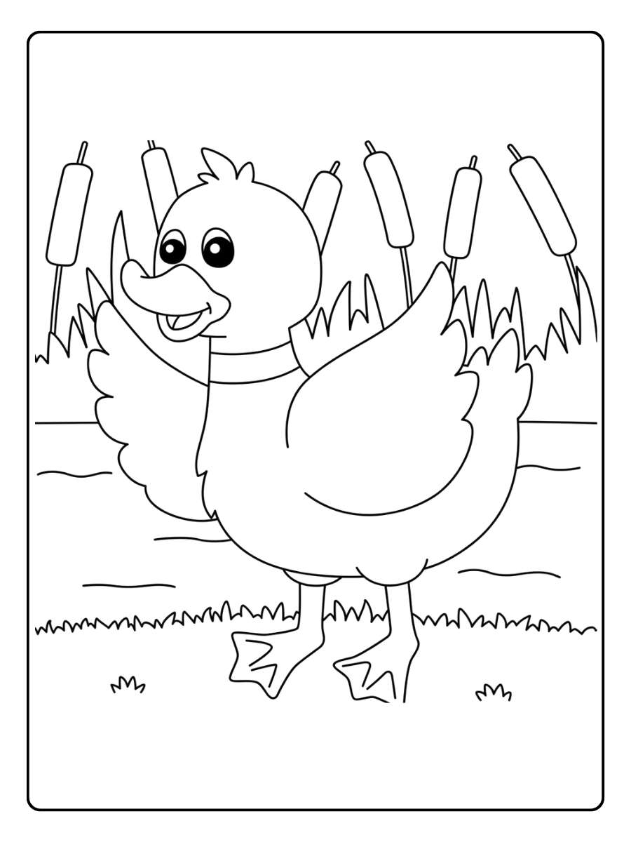 coloriage canard a imprimer