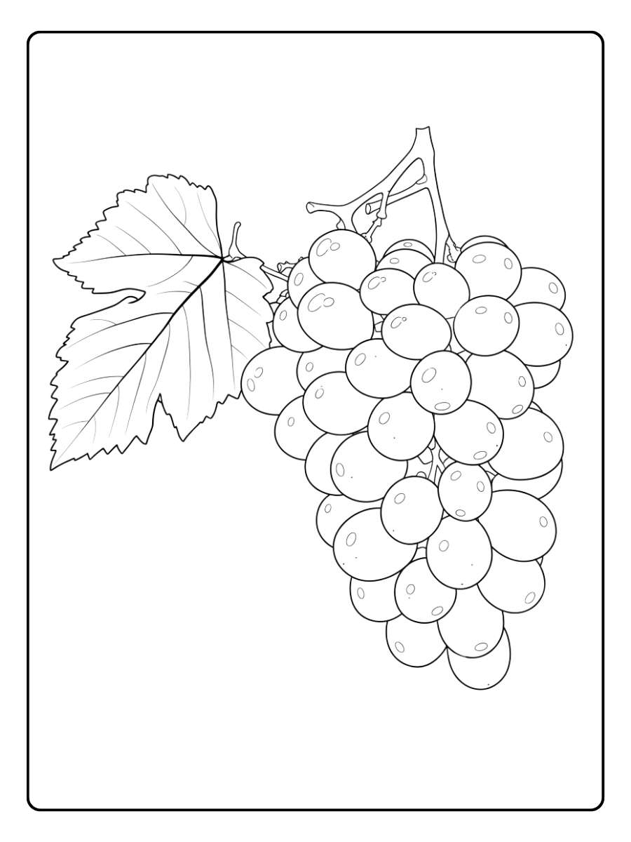 coloriage raisin la boisson qui fait des grimaces