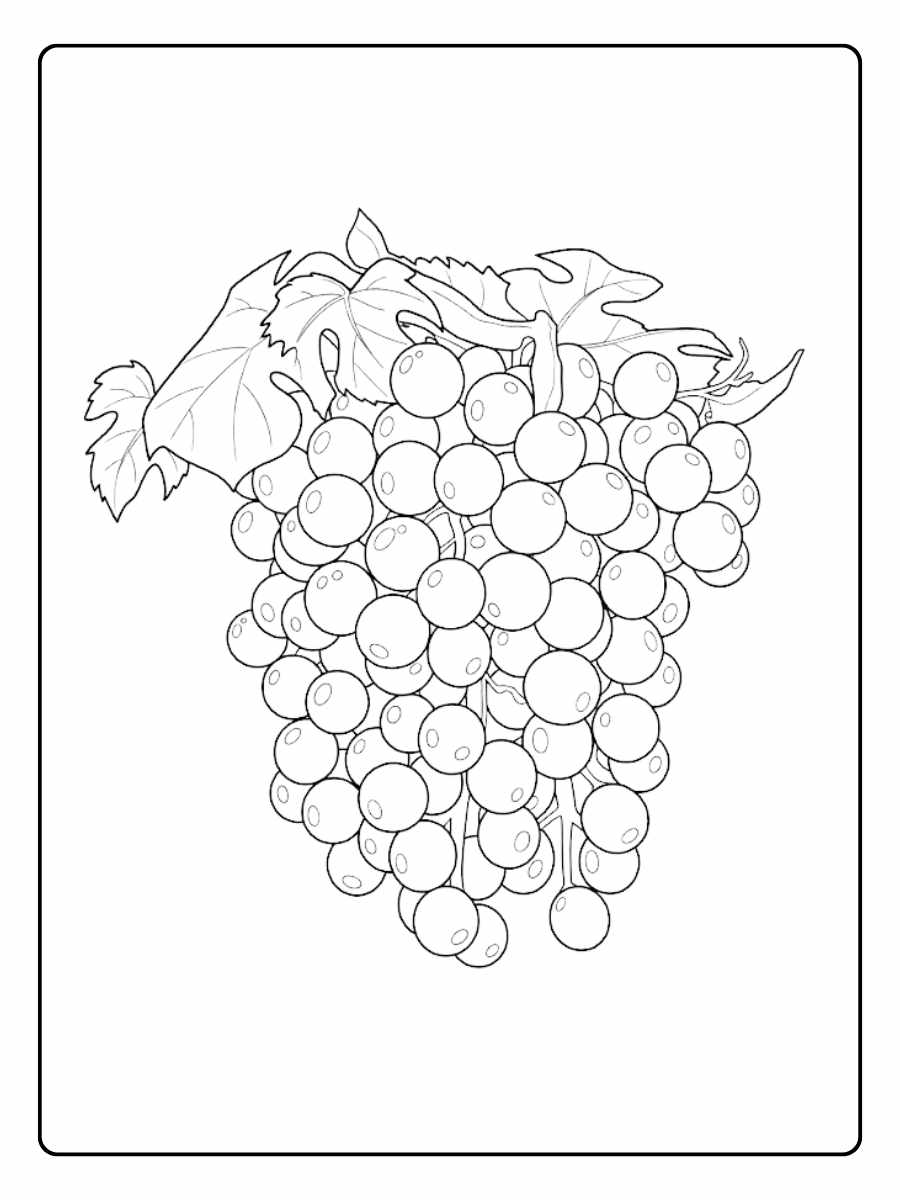 coloriage raisin la grappe juteuse