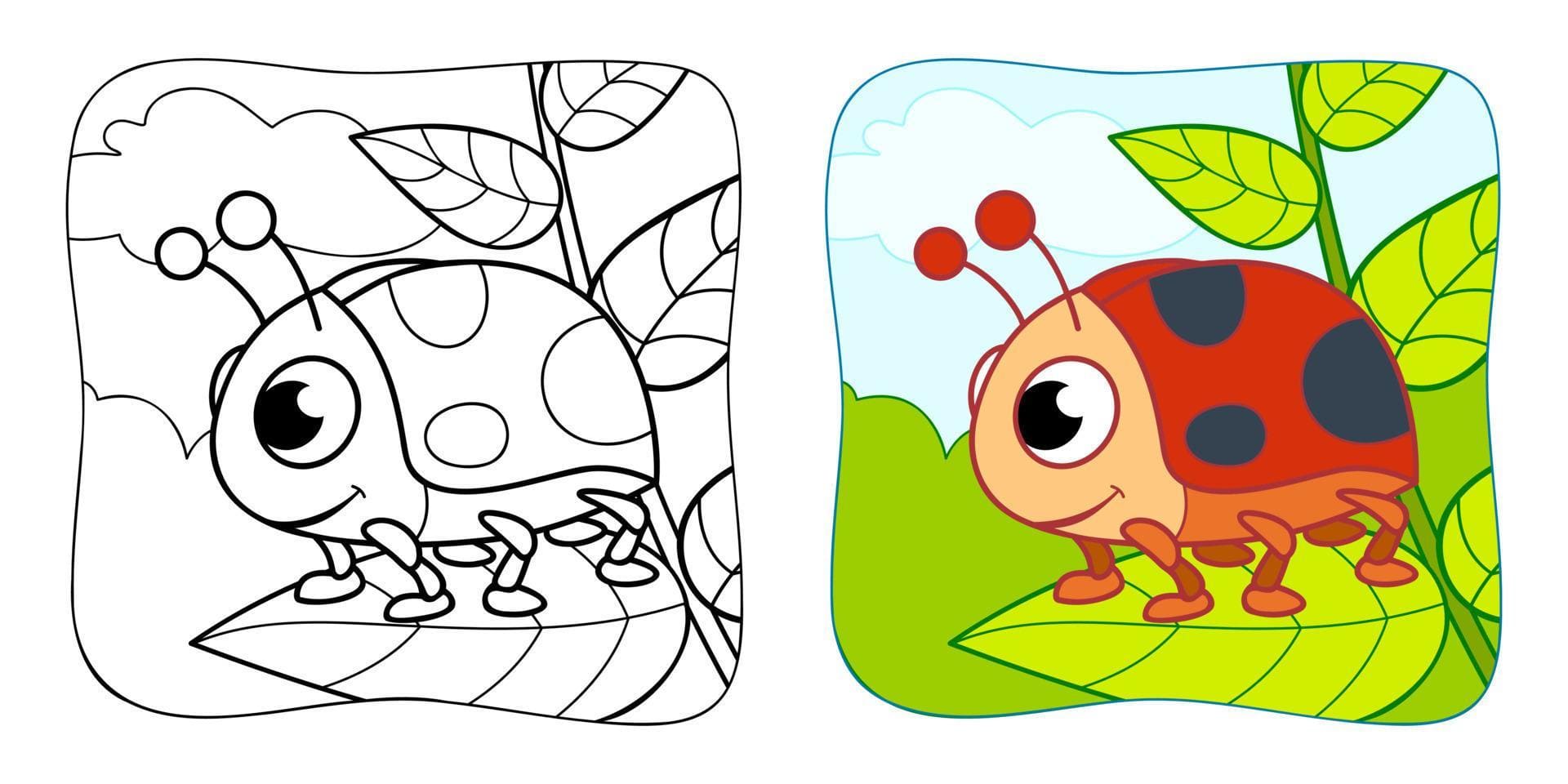 coloring book or coloring page for kids ladybug