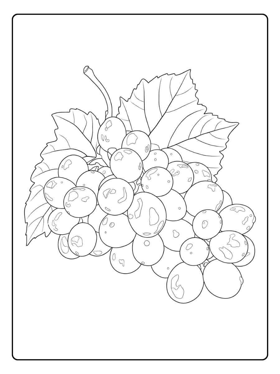 oloriage raisin la vigne enchantée