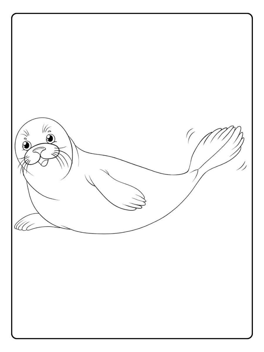 phoque coloriage a imprimer