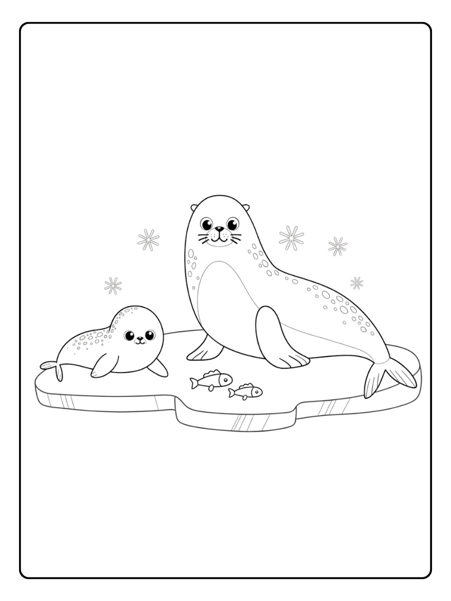 phoque coloriage simple